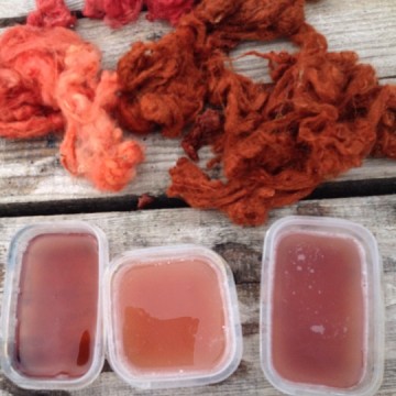 Natural dyeing at Wild Rose Escapes, craft courses, Highlands, Scotland