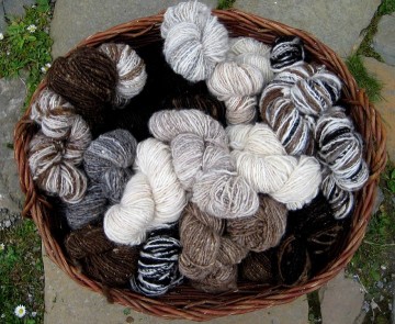 Natural spun wool - Wild Rose Escapes, craft retreat, Highlands, Scotland